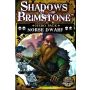 Shadows of Brimstone : Hero Pack - Norse Dwarf Hero Pack