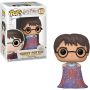 Movies:#112 Harry Potter : Harry with Invisibility Cloak