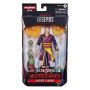 Marvel Legends -Doctor Strange  in The Multiverse WONG