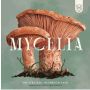 Mycelia FR - jeu de plateau