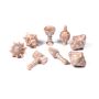 PolyHero Dice Cleric 8 Dice Set Radiant Rose
