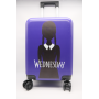 Wednesday 18"inch carry on luggage trolley