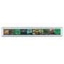 12" Safari Ruler Worlds of Insects