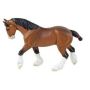 Clydesdale Adult