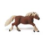 Welsh Pony