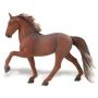 Tennessee Walking Horse