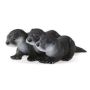 River Otter Babies