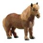 Shetland Pony