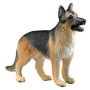 German Shepherd Adult