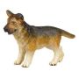 German Shepherd Puppy