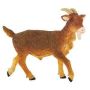 Brown Billy Goat