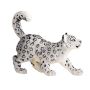Snow Leopard Cub