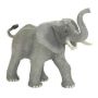 African Elephant Adult