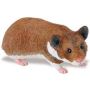 Hamster