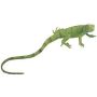 Green Iguana Baby Incredible Creat.