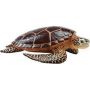 Sea Turtle