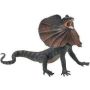 Frilled Lizard