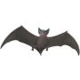 Brown Bat