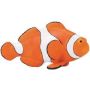 Clown Anemonefish