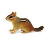 Eastern Chipmunk