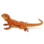 Bearded Dragon