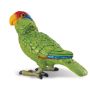Green Parrot
