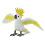 Cockatoo