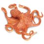 Giant PacifOctopus