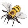 Honeybee