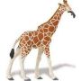 Giraffe Adult