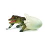 Crocodile Hatchling