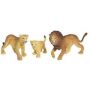 Lion Adult