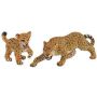 Leopard Adult