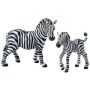Zebra Adult