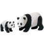 Panda Cub