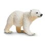 Polar Bear Cub