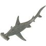 Hammerhead Shark