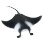Manta Ray
