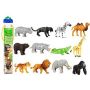 Wild Safari Jungle Sampler