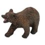 Brown Bear Cub