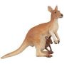 Kangaroo with Baby