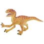 Raptor Baby