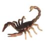 Hidden Kingdom Scorpion