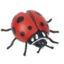 Hidden Kingdom Ladybug