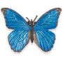 Hidden Kingdom Blue Butterfly