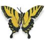 Hidden Kingdom yellow Butterfly