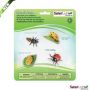 Life Cycle Ladybug
