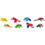 Poison Dart Frogs Display