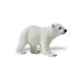 Polar Bear Cub