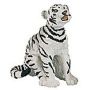 White Tiger Cub